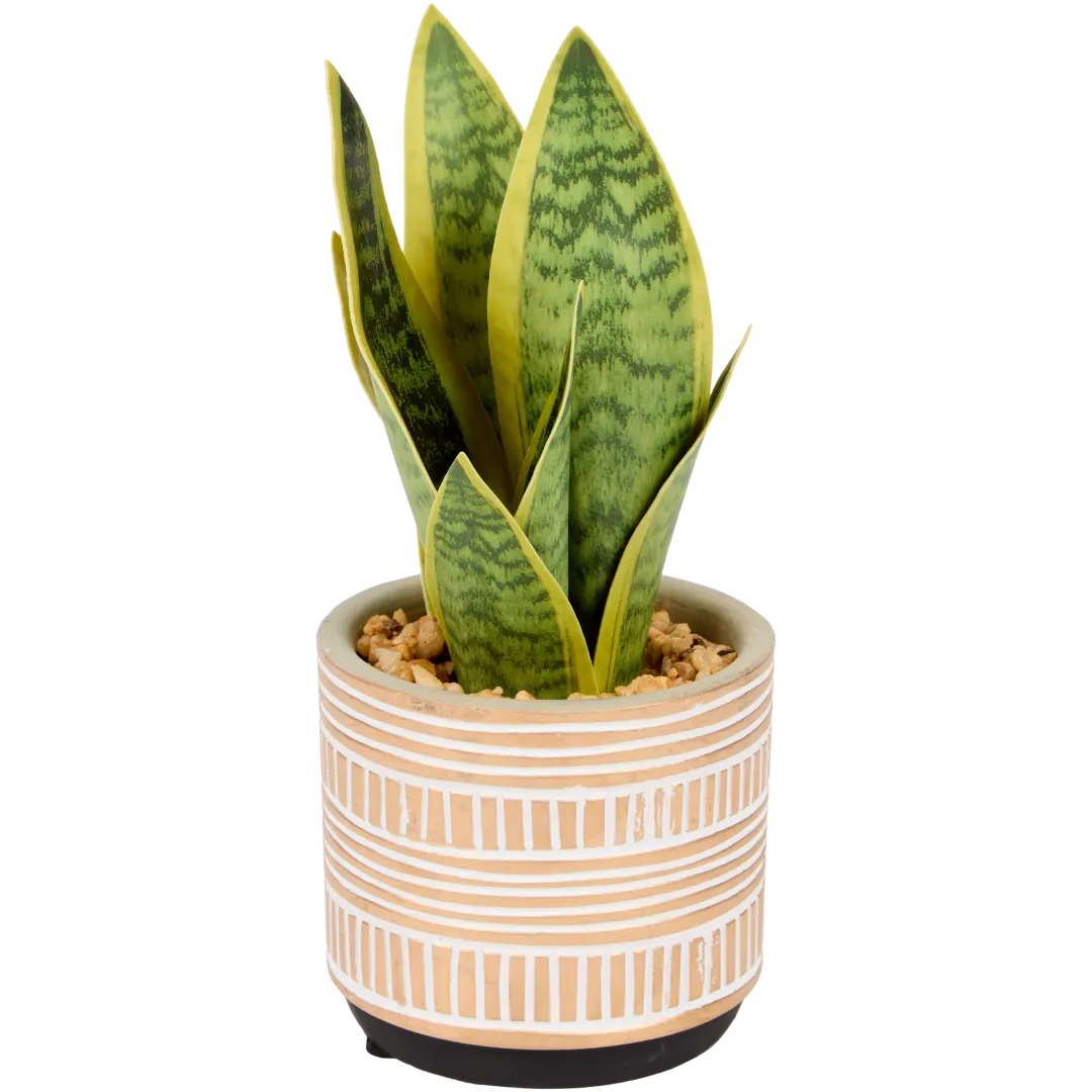 Sansevieria artificial en maceta The Hamptons Collections HOME