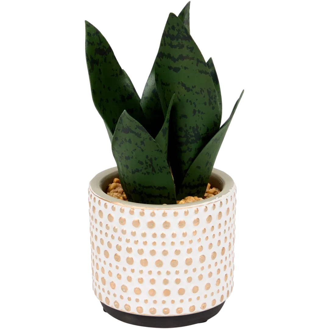 Sansevieria artificial en maceta The Hamptons Collections HOME