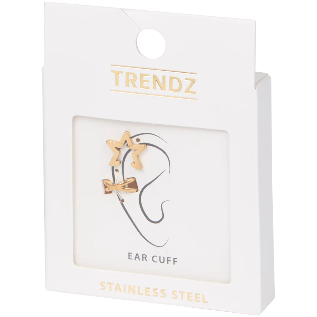 Edelstahl-Ohrschmuck