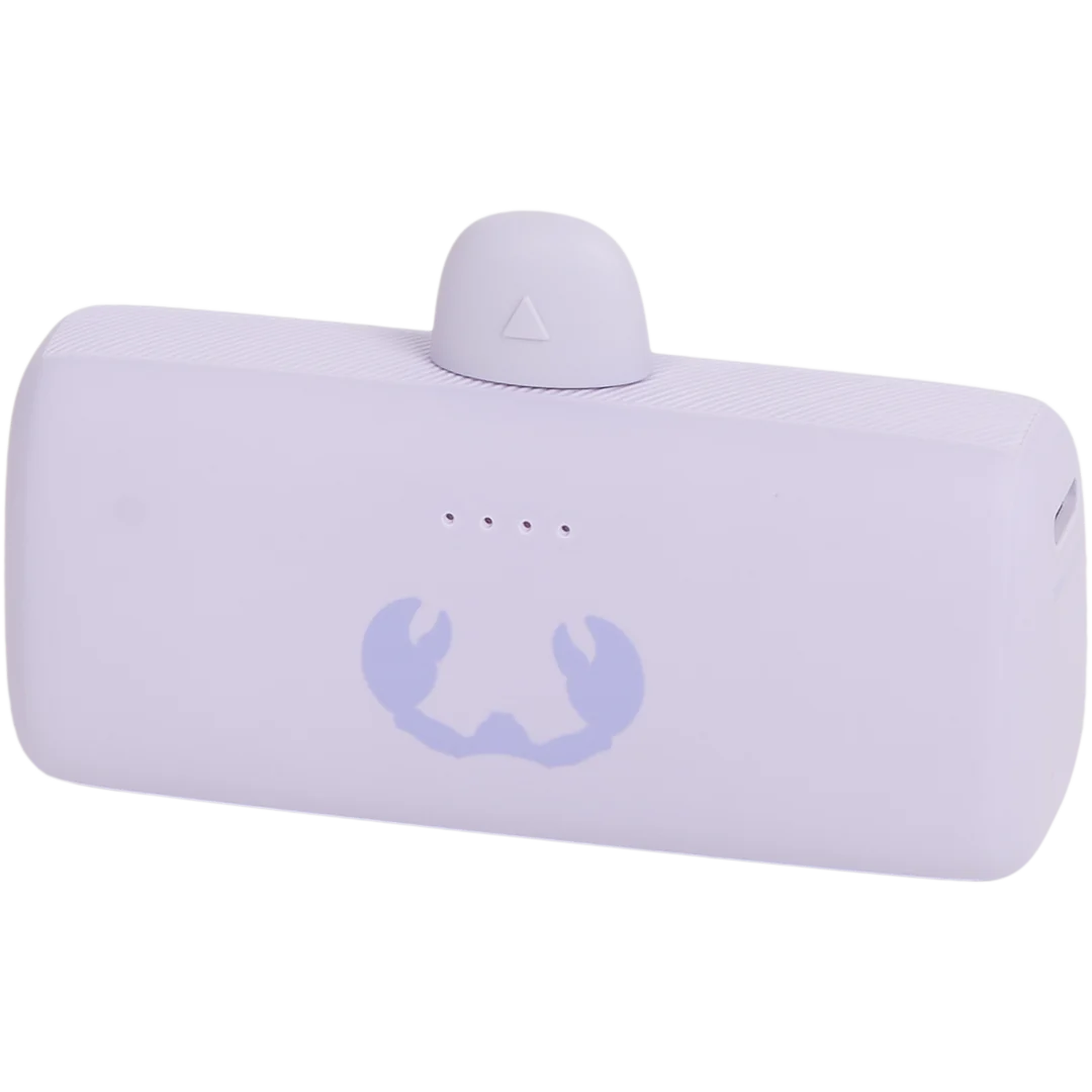 Batterie externe plug-in Fresh ’n Rebel 5