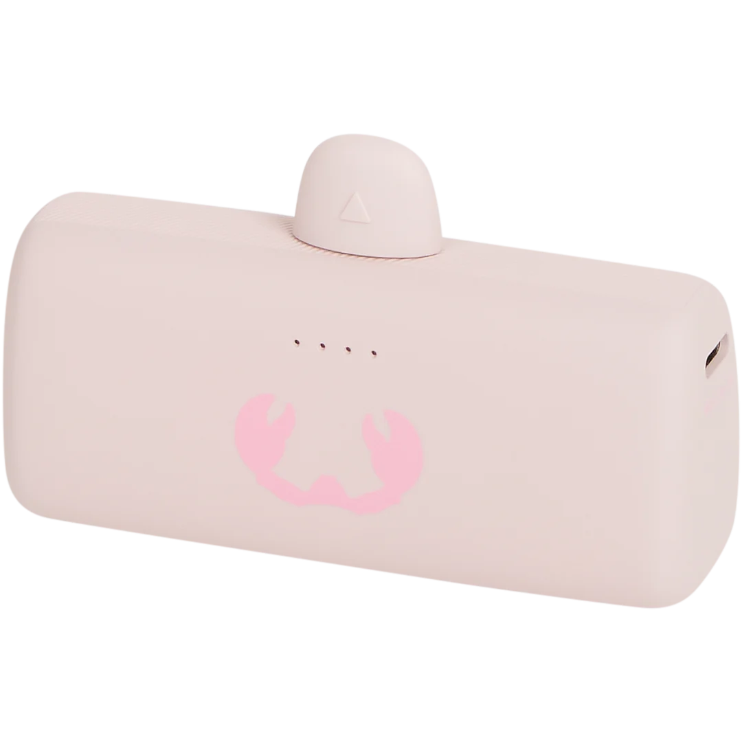 Batterie externe plug-in Fresh ’n Rebel 4