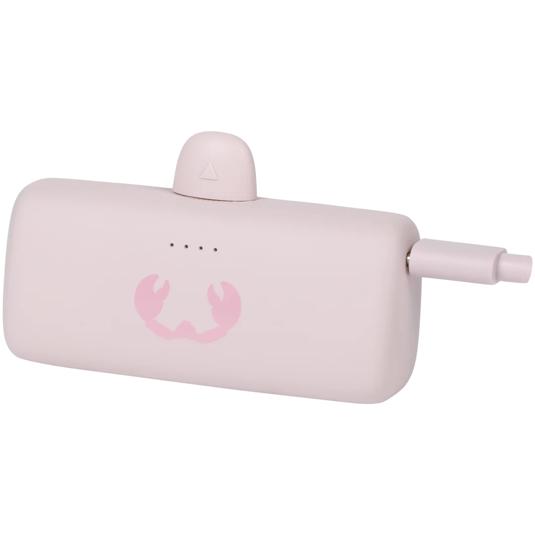 Plug-in powerbank Fresh ’n Rebel