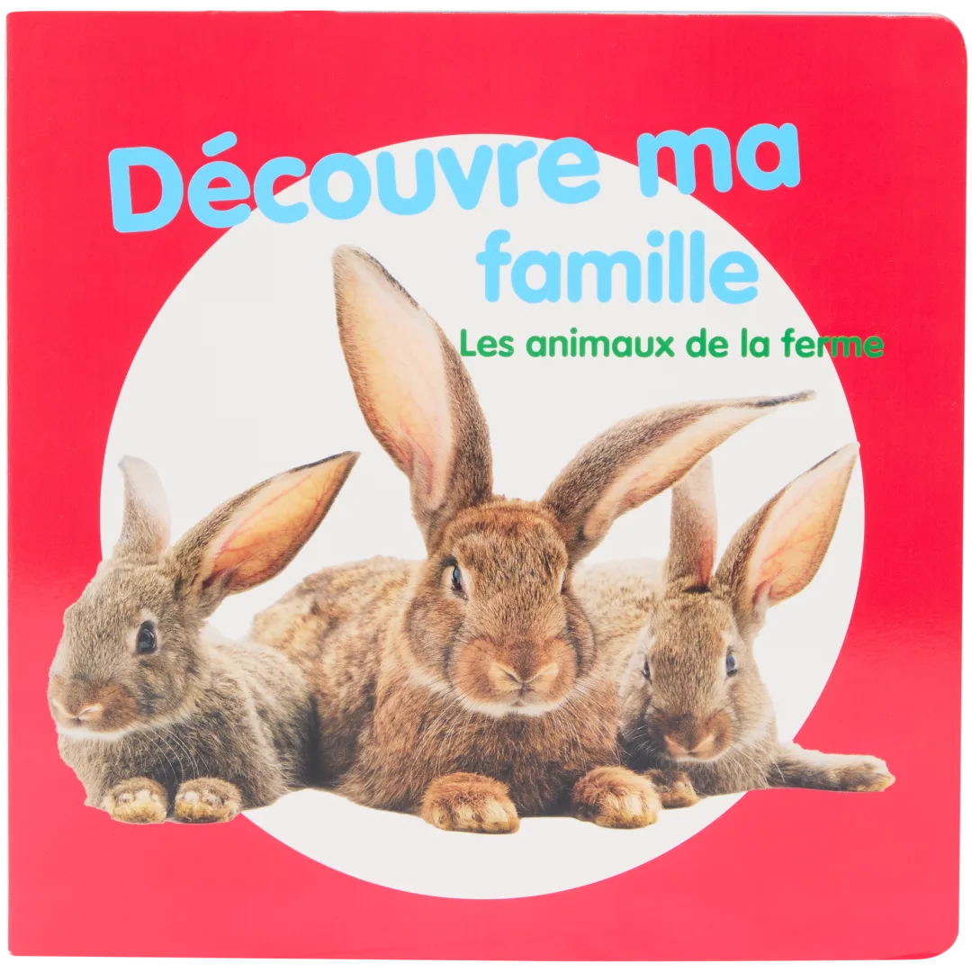 Livre pour enfants 1