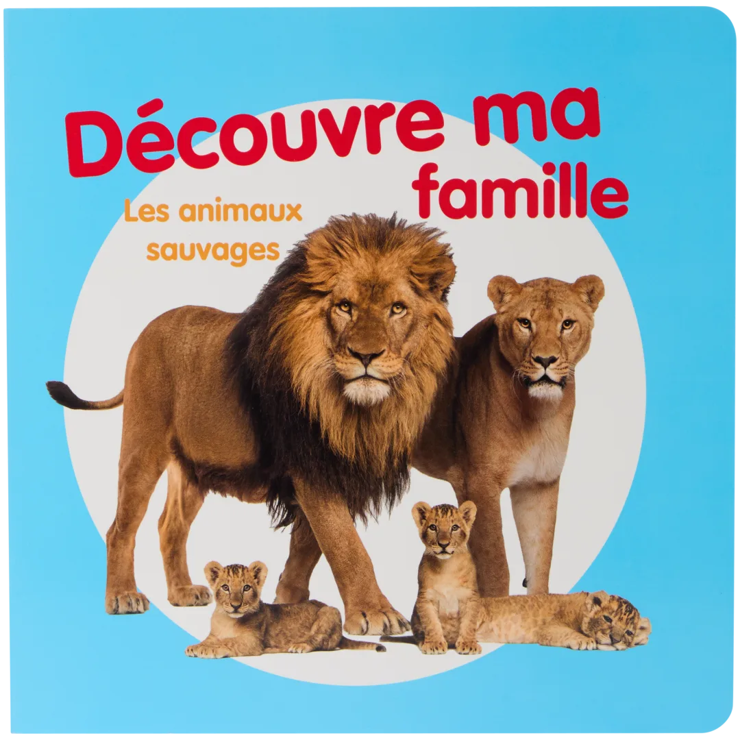 Livre pour enfants 4
