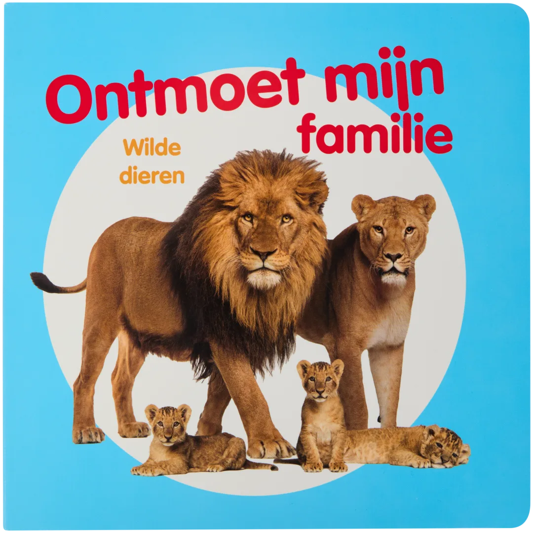 Voorleesboek Ontdek Mijn Familie