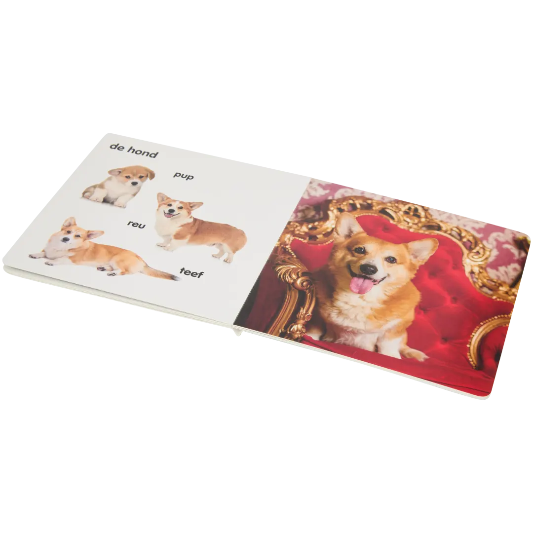 Voorleesboek Ontdek Mijn Familie