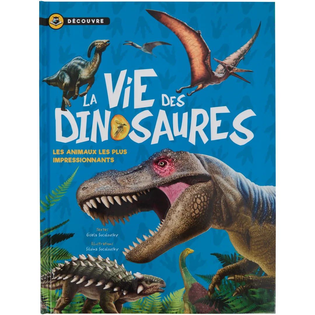 Livre éducatif pour enfant 4