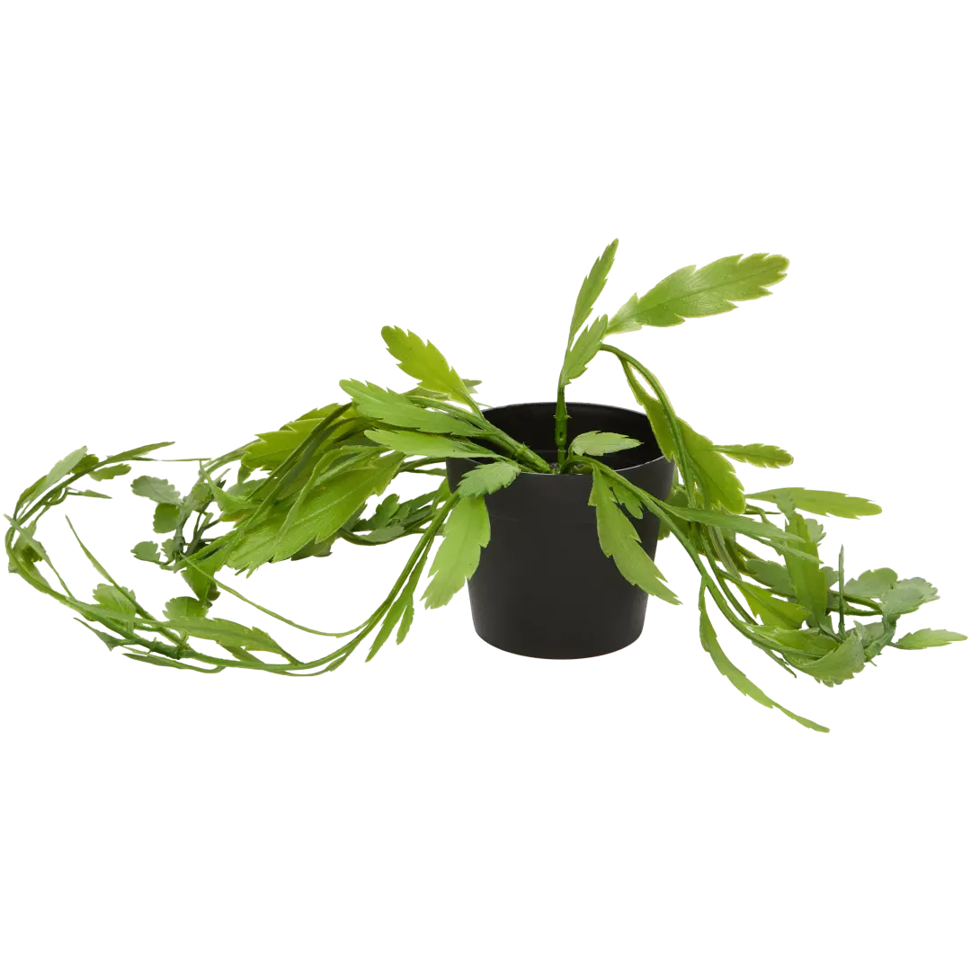 Excellent Flowers Künstliche Hängepflanze im Topf