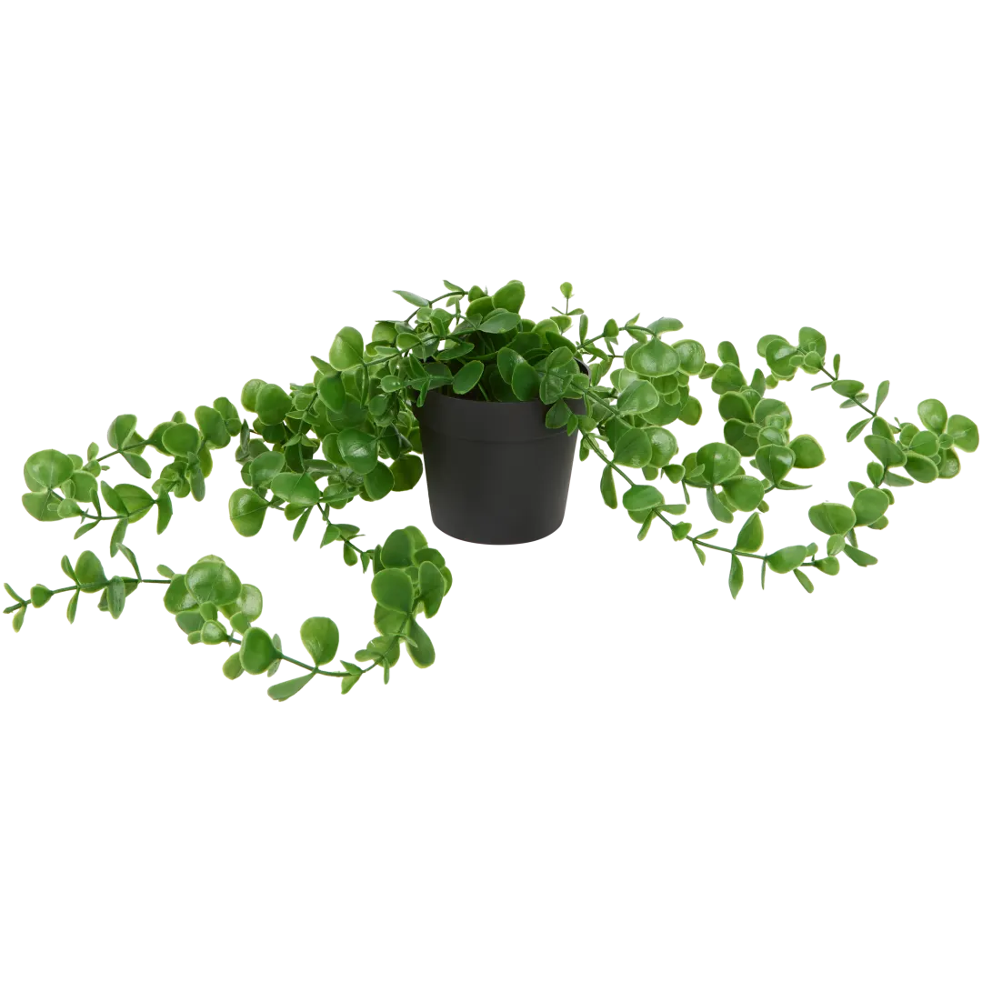 Excellent Flowers Künstliche Hängepflanze im Topf