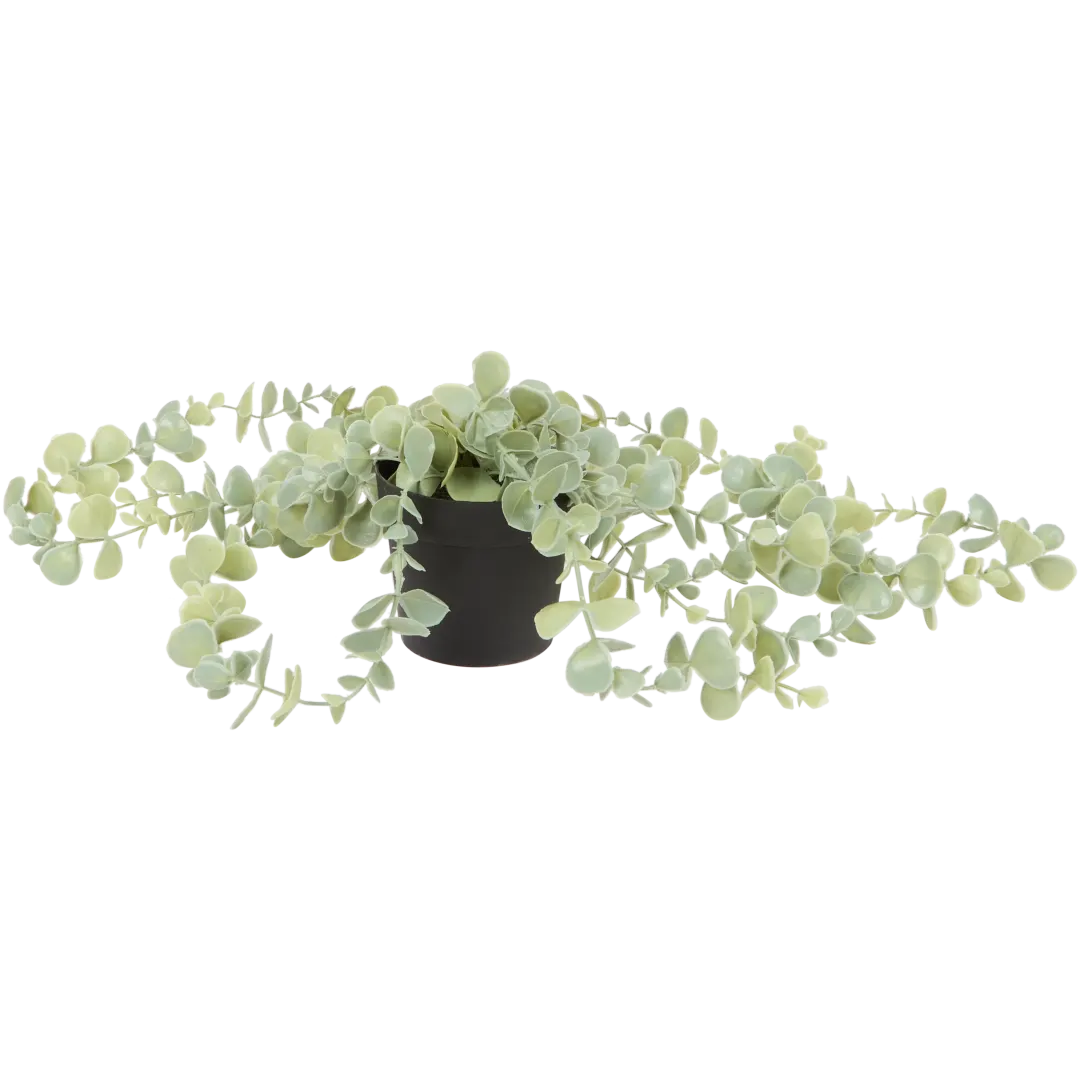 Excellent Flowers Künstliche Hängepflanze im Topf