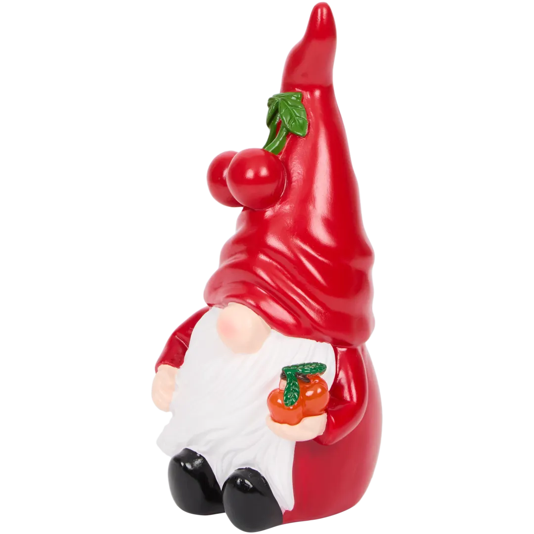 Gnome de décoration LED 5