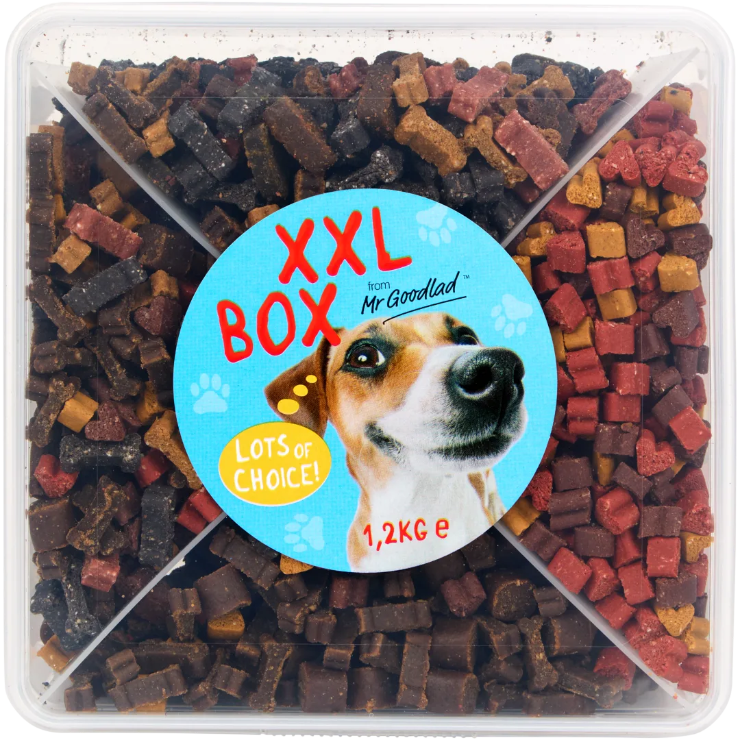 Boîte de friandises pour chien XXL Goodlad Action FR