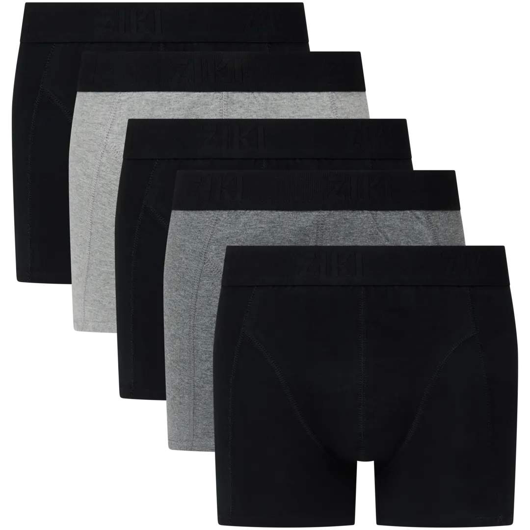 Boxers Ziki 2