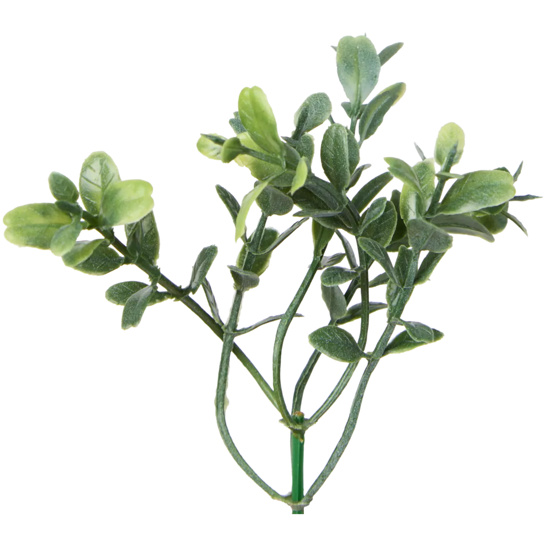 Plantas suculentas artificiais
