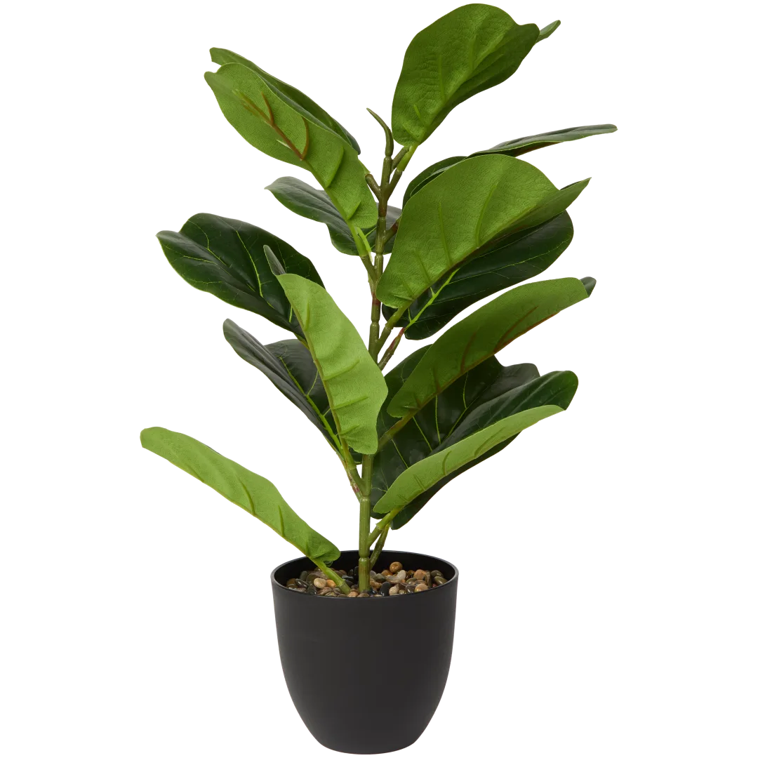 Kunstficus in pot 1