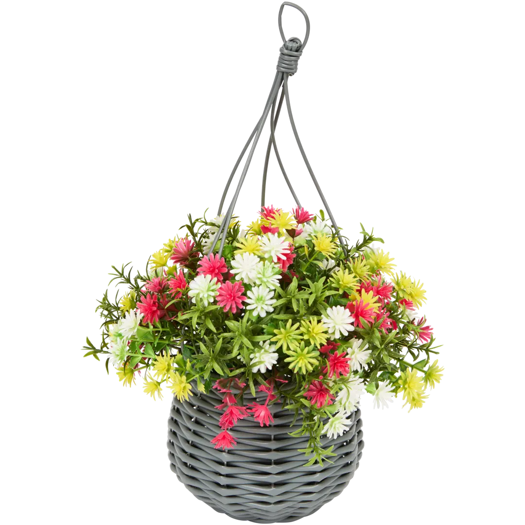 R Whites Blumenampel 1