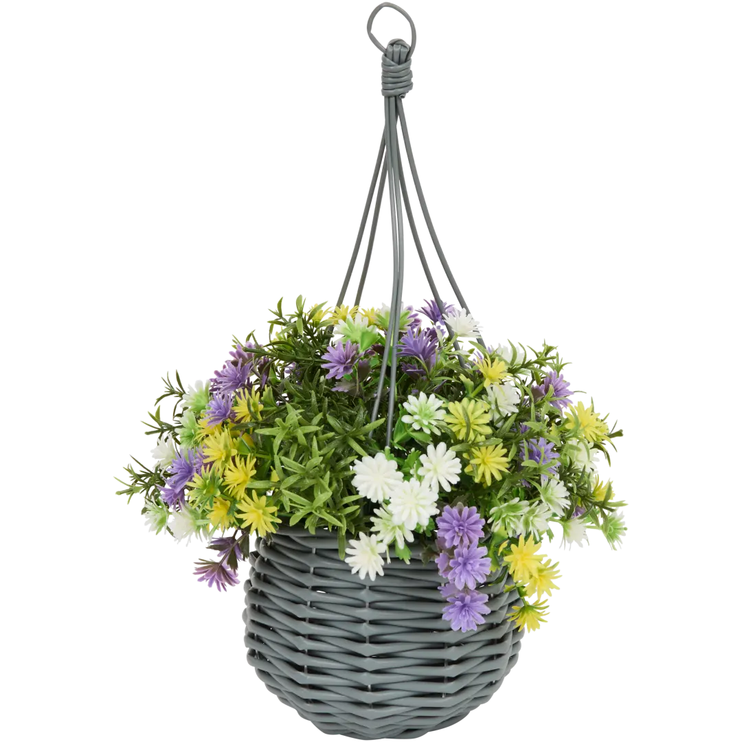 R Whites Blumenampel 2