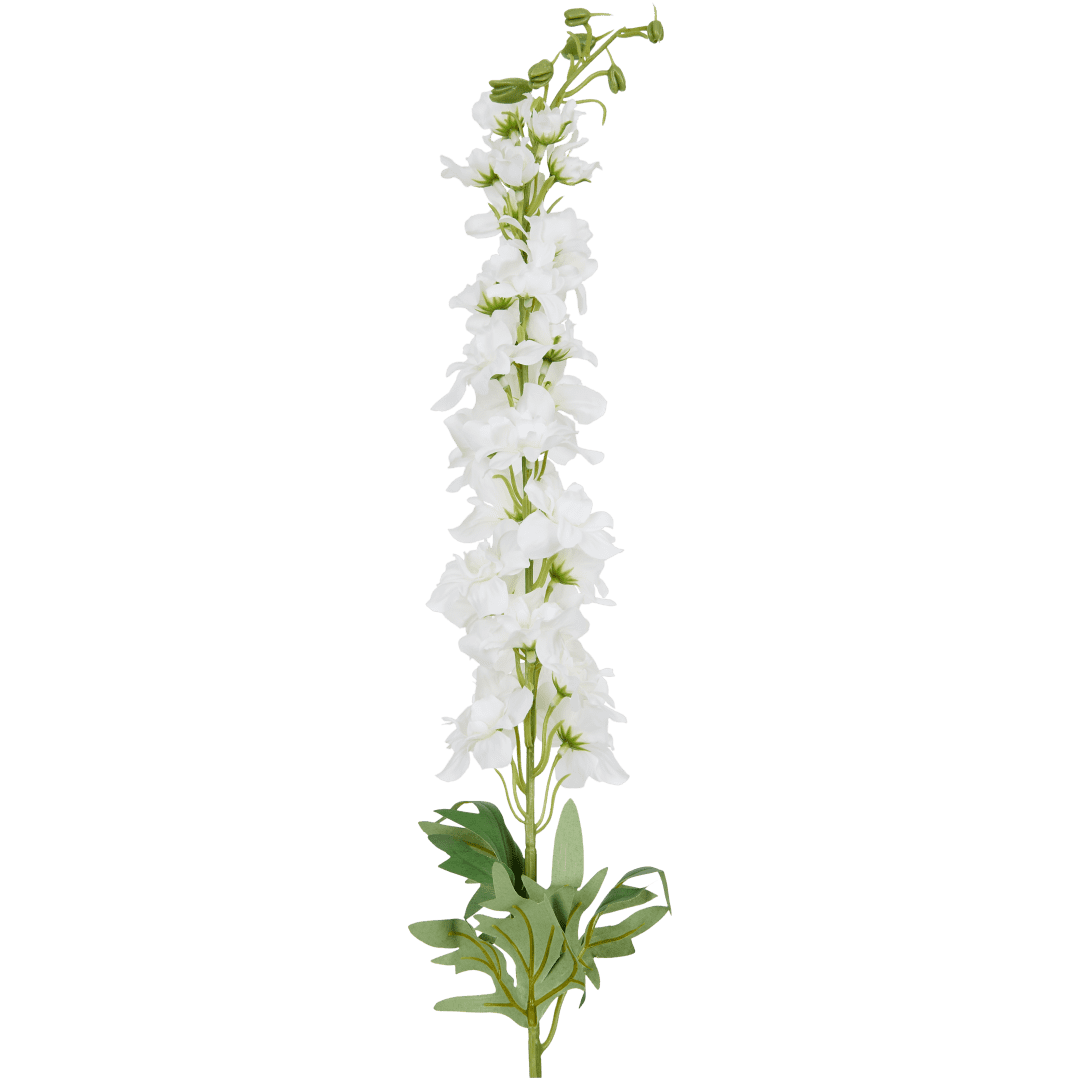 Delphinium sur tige 5
