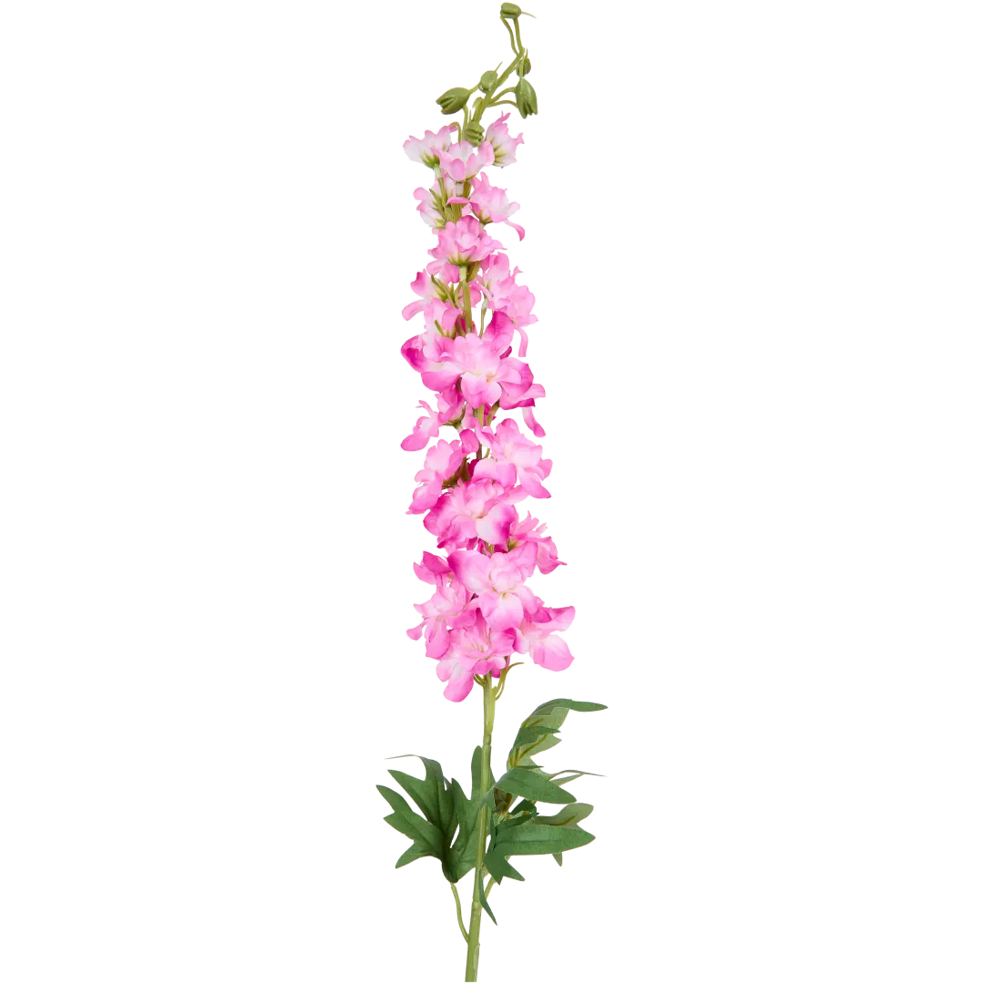 Delphinium sur tige 4