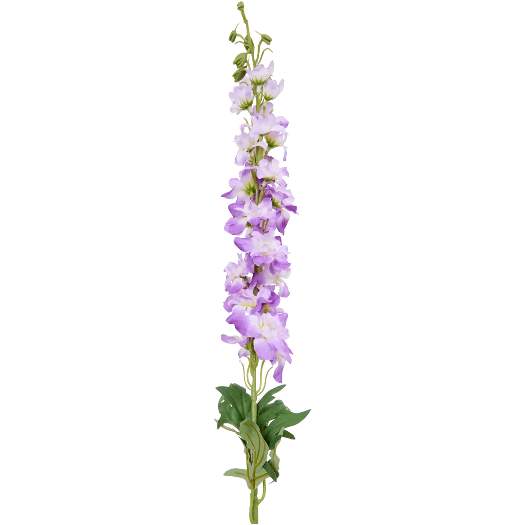 Delphinium sur tige 3