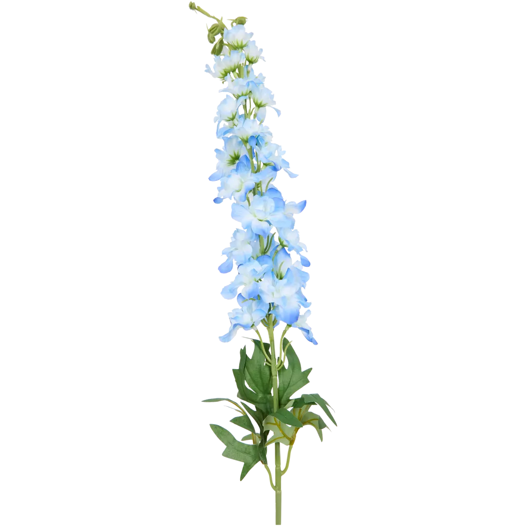 Delphinium sur tige 1