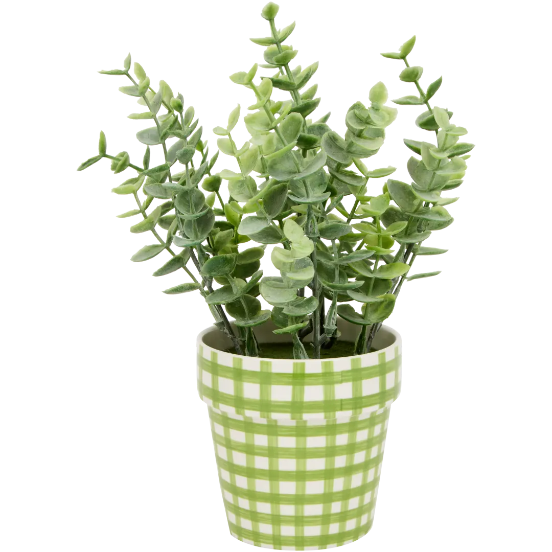 Excellent Flowers kruidenplant in pot 3