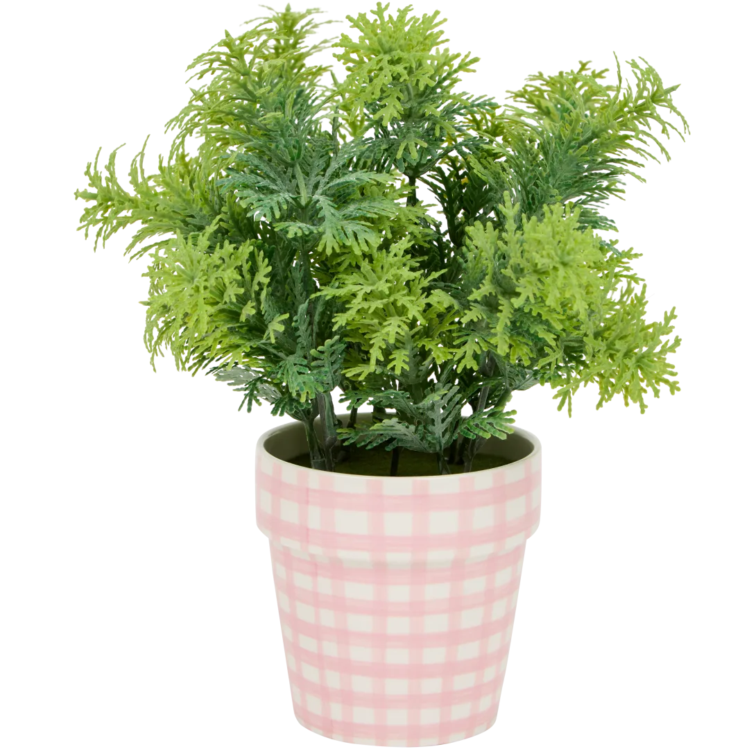 Excellent Flowers kruidenplant in pot 4