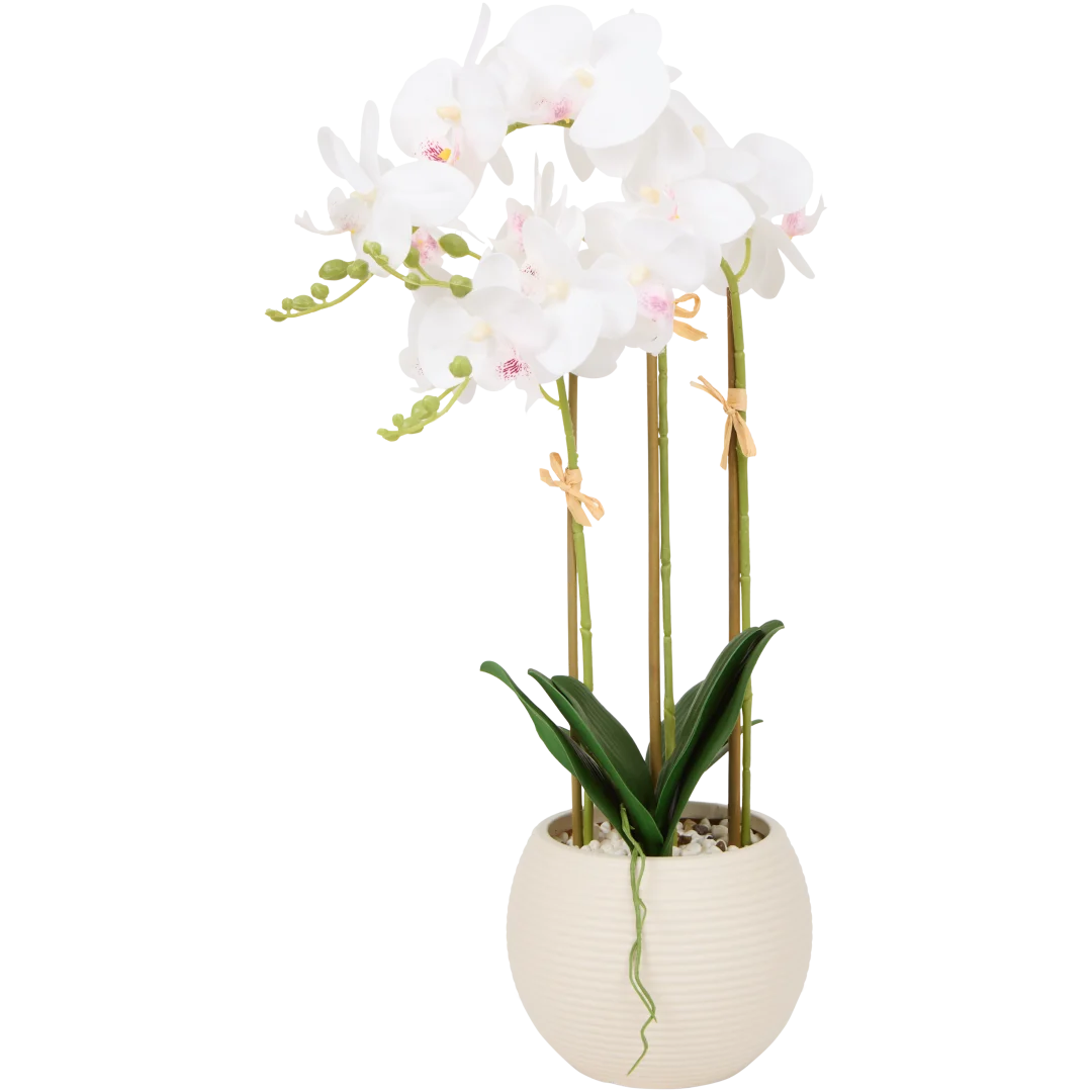 Kunst orchidee in pot 2