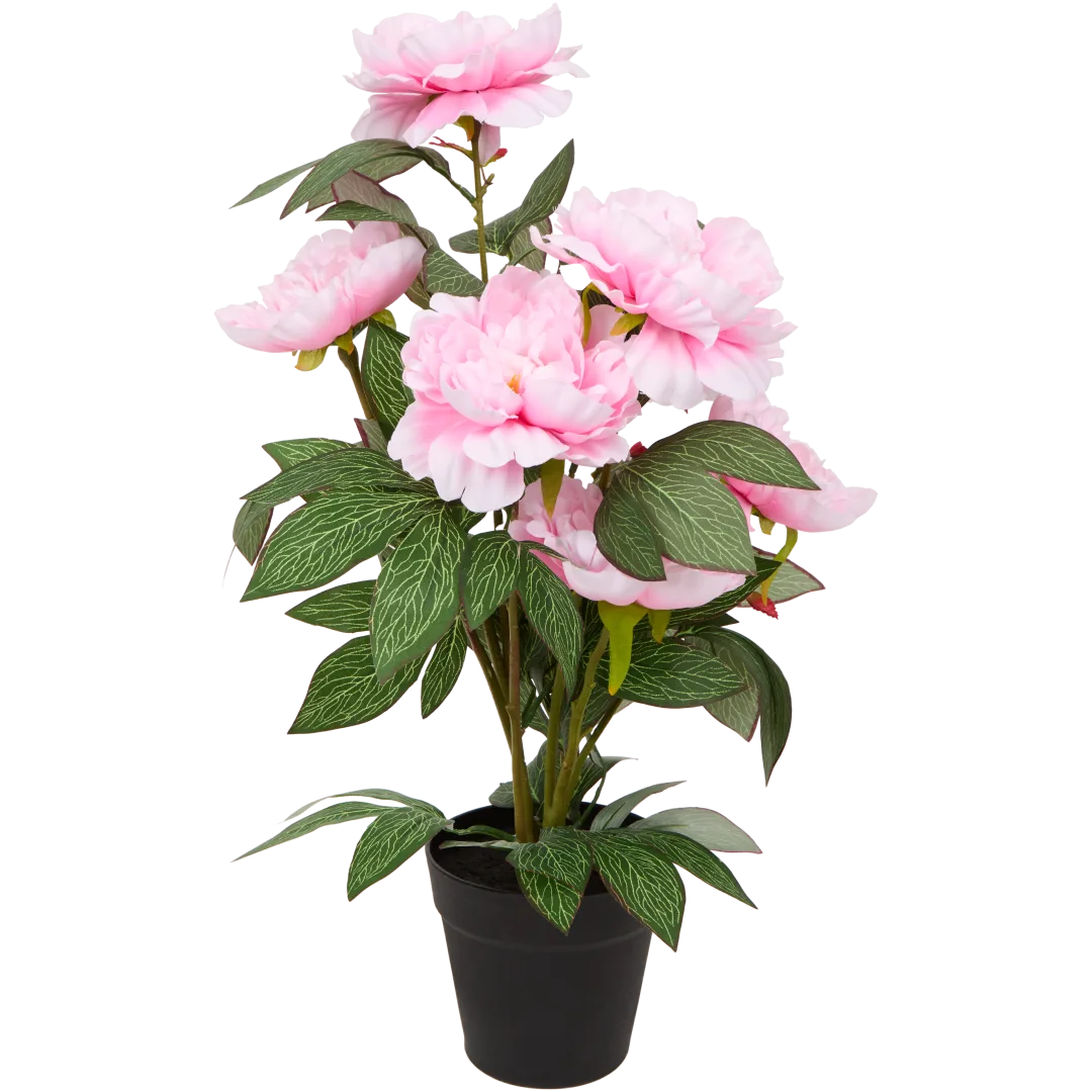 Sztuczna piwonia w doniczce Excellent Flowers 2