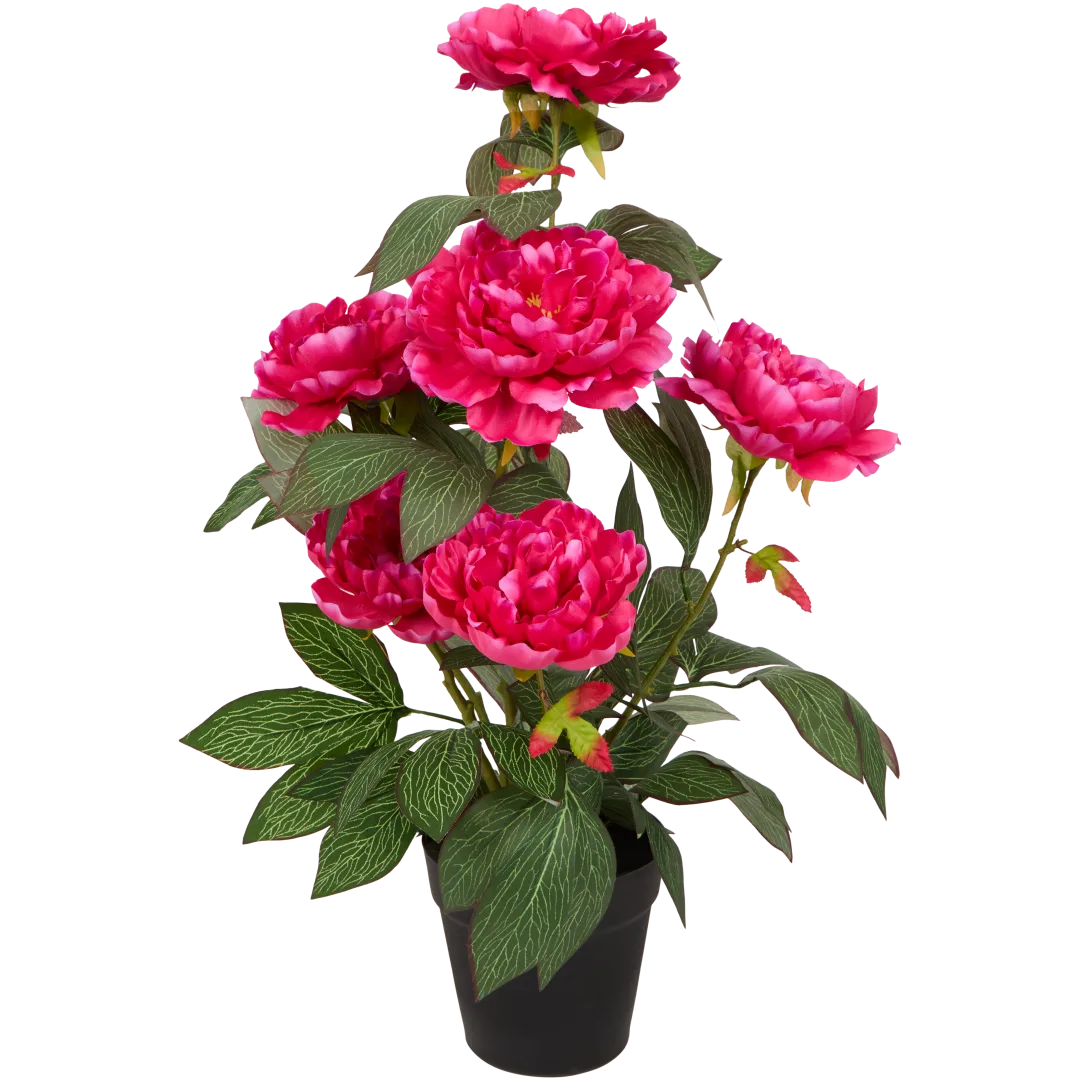 Sztuczna piwonia w doniczce Excellent Flowers 1