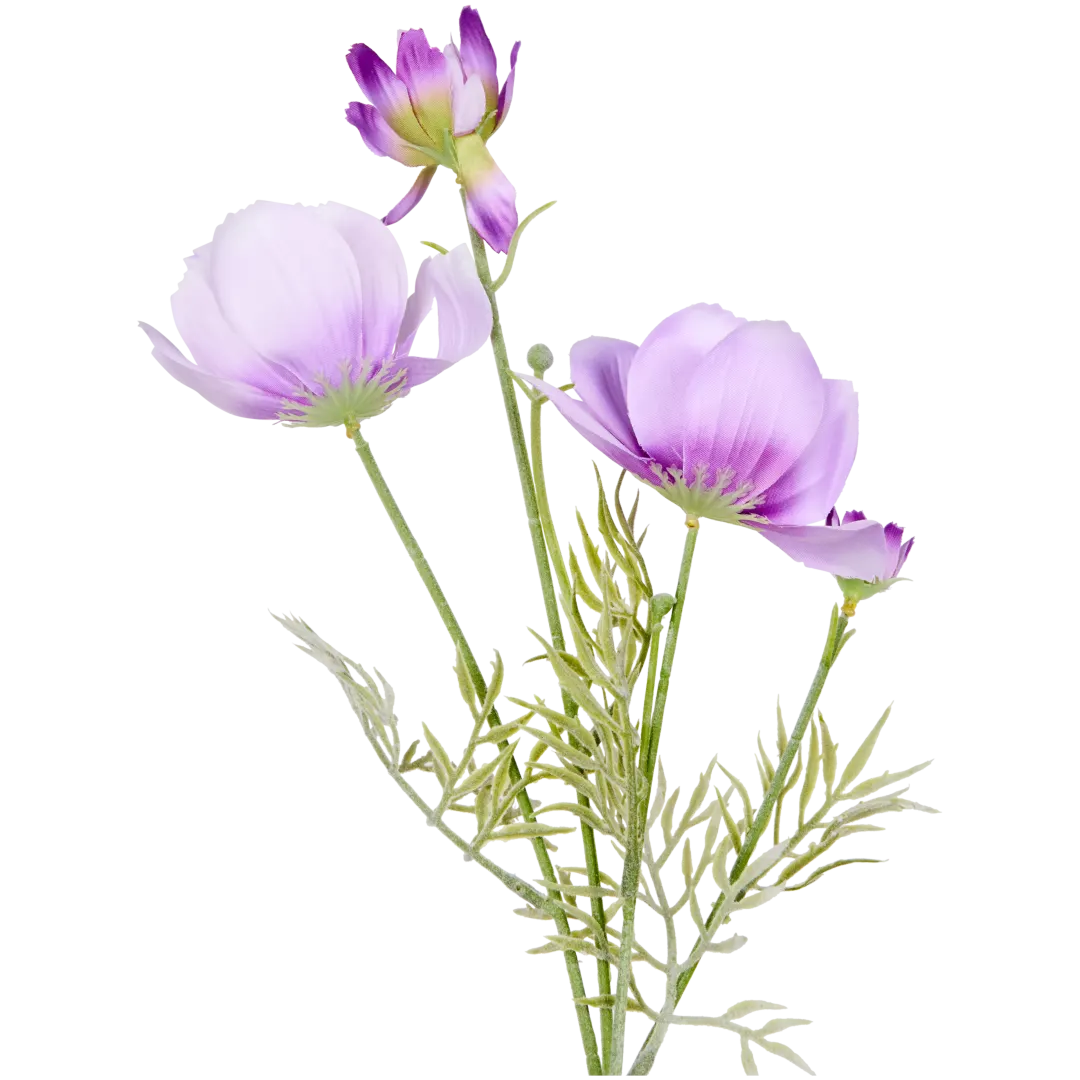 Mărărițe The Hamptons Collections HOME