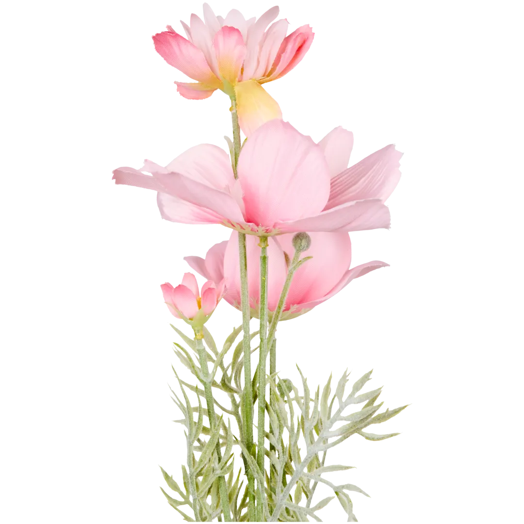 Mărărițe The Hamptons Collections HOME