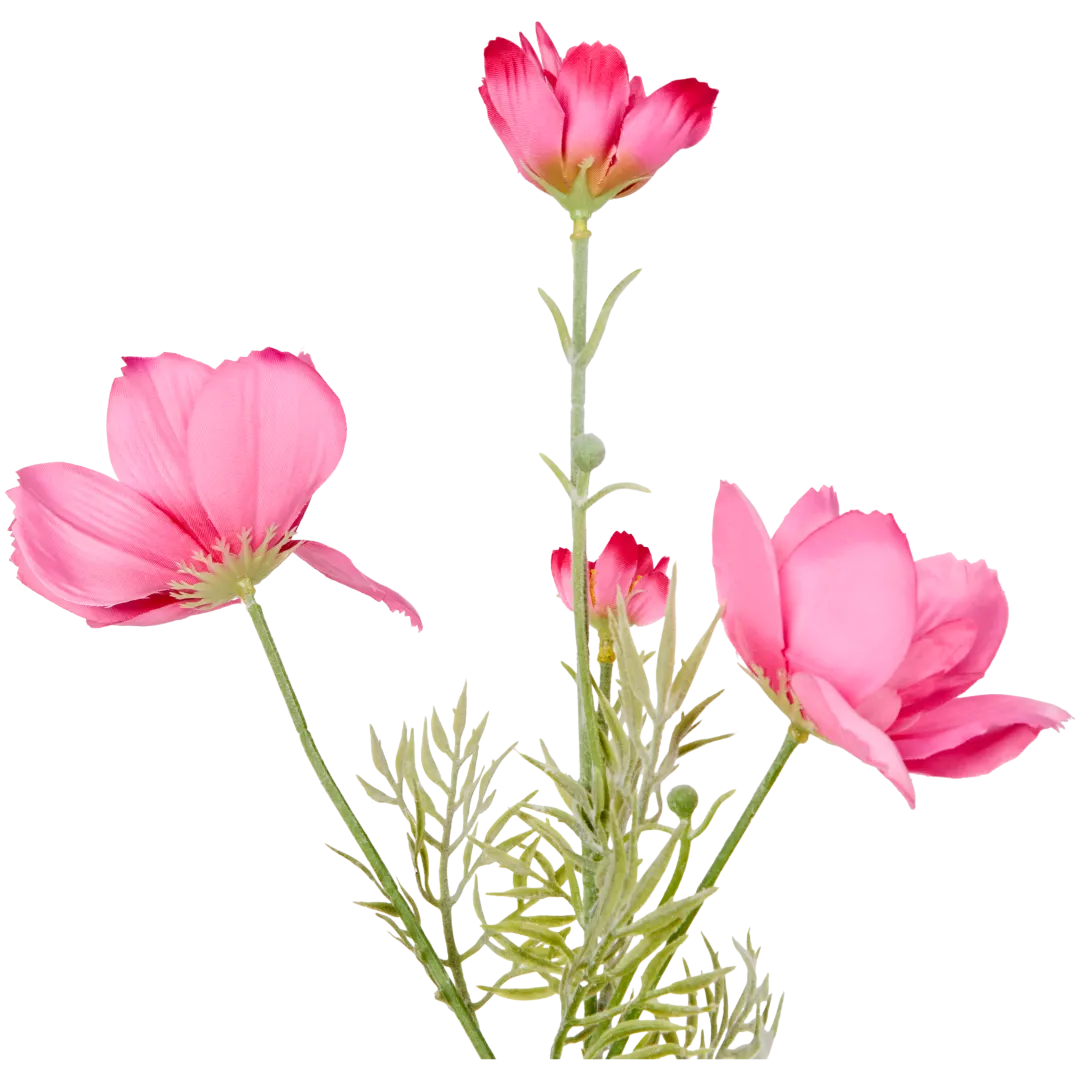 Mărărițe The Hamptons Collections HOME