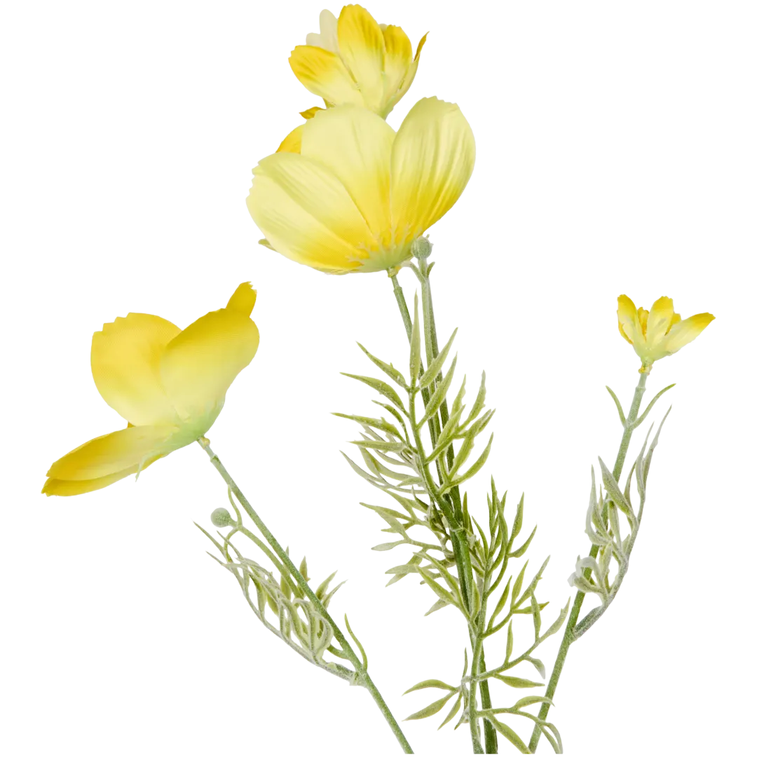 Mărărițe The Hamptons Collections HOME