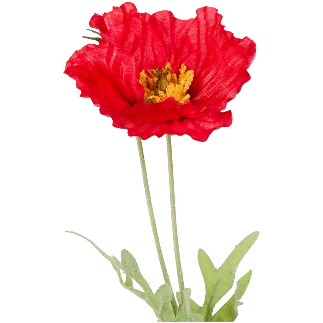 Kunst cosmosbloemen