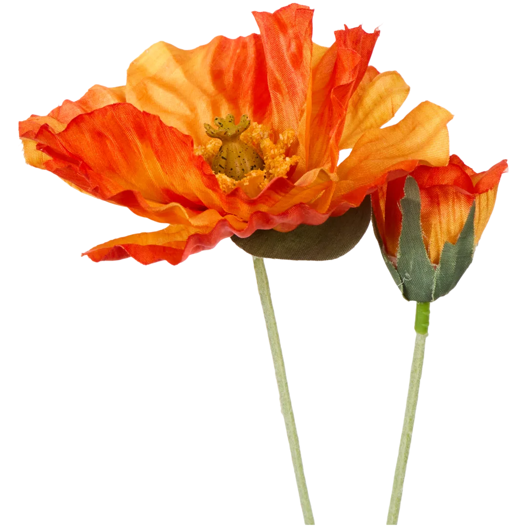 Kunst cosmosbloemen