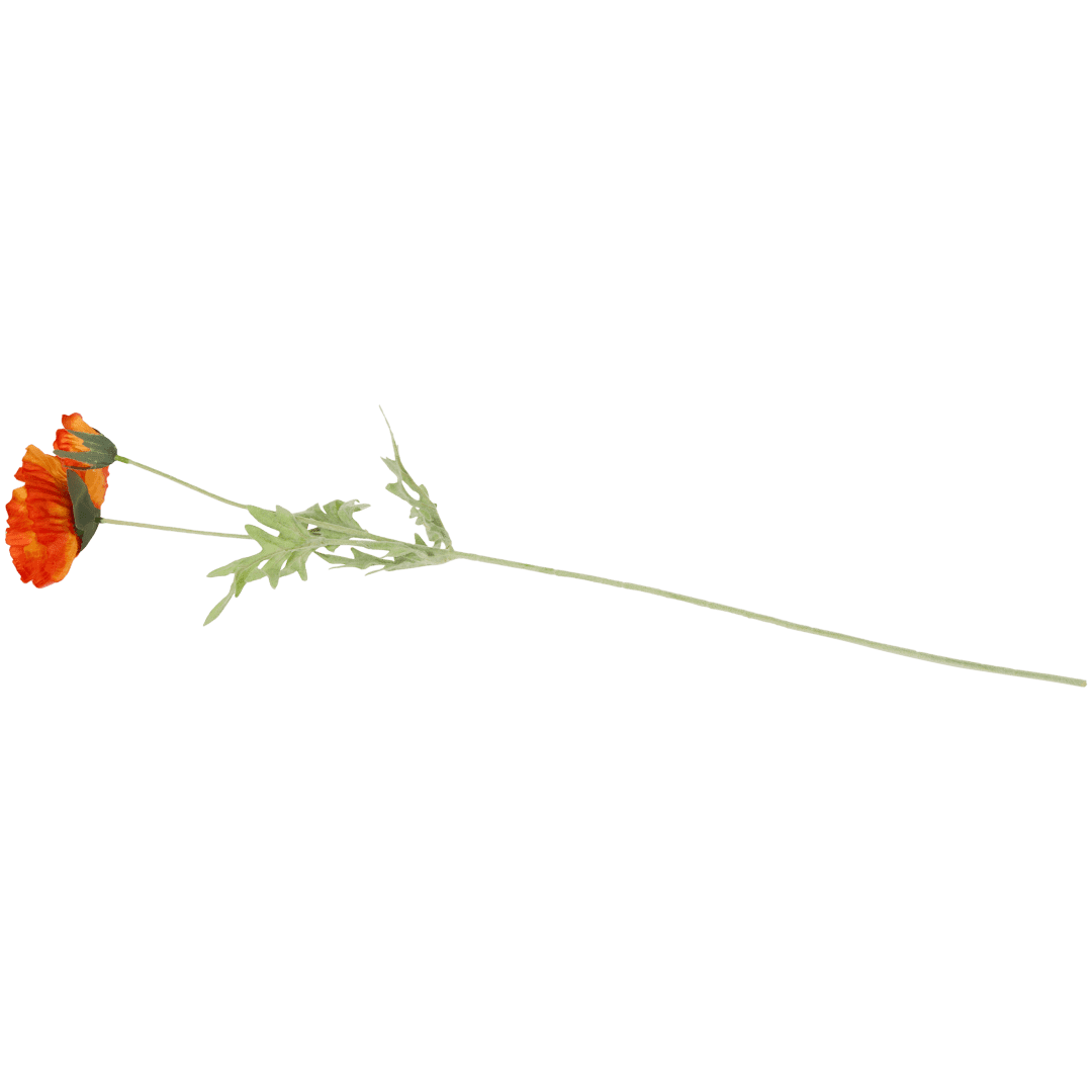 Kunst cosmosbloemen