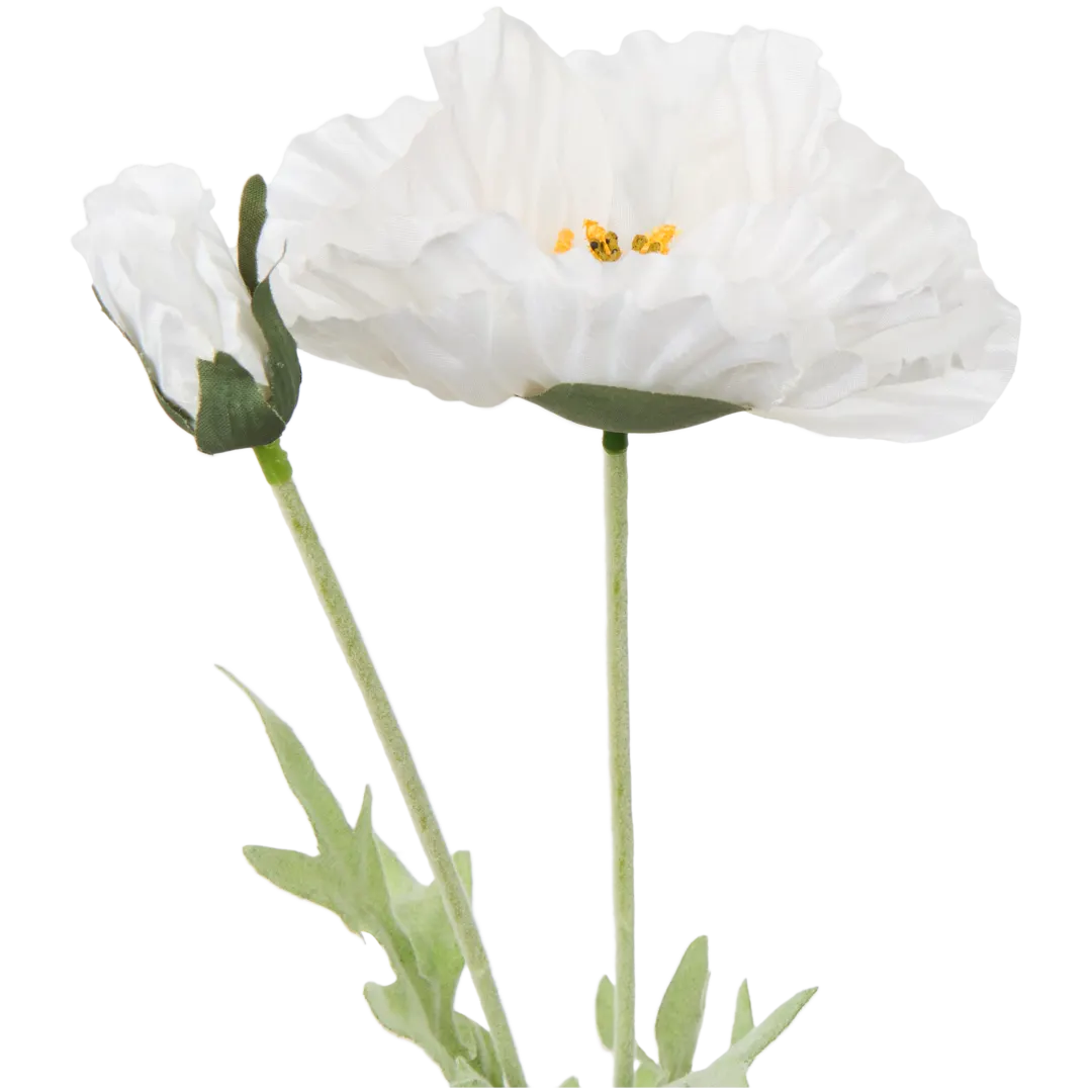 Kunst cosmosbloemen