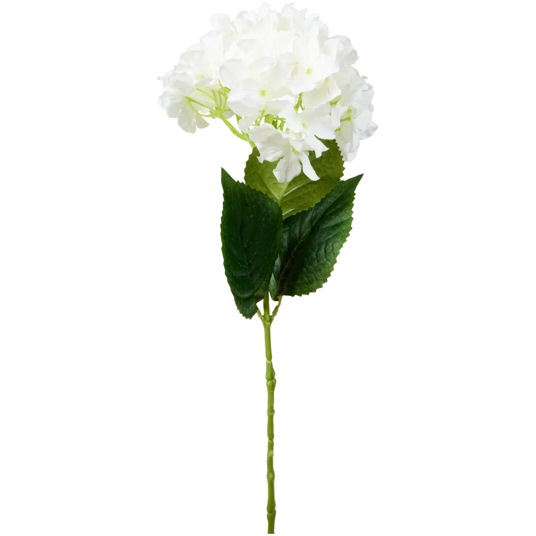 Hortensia op steel 4