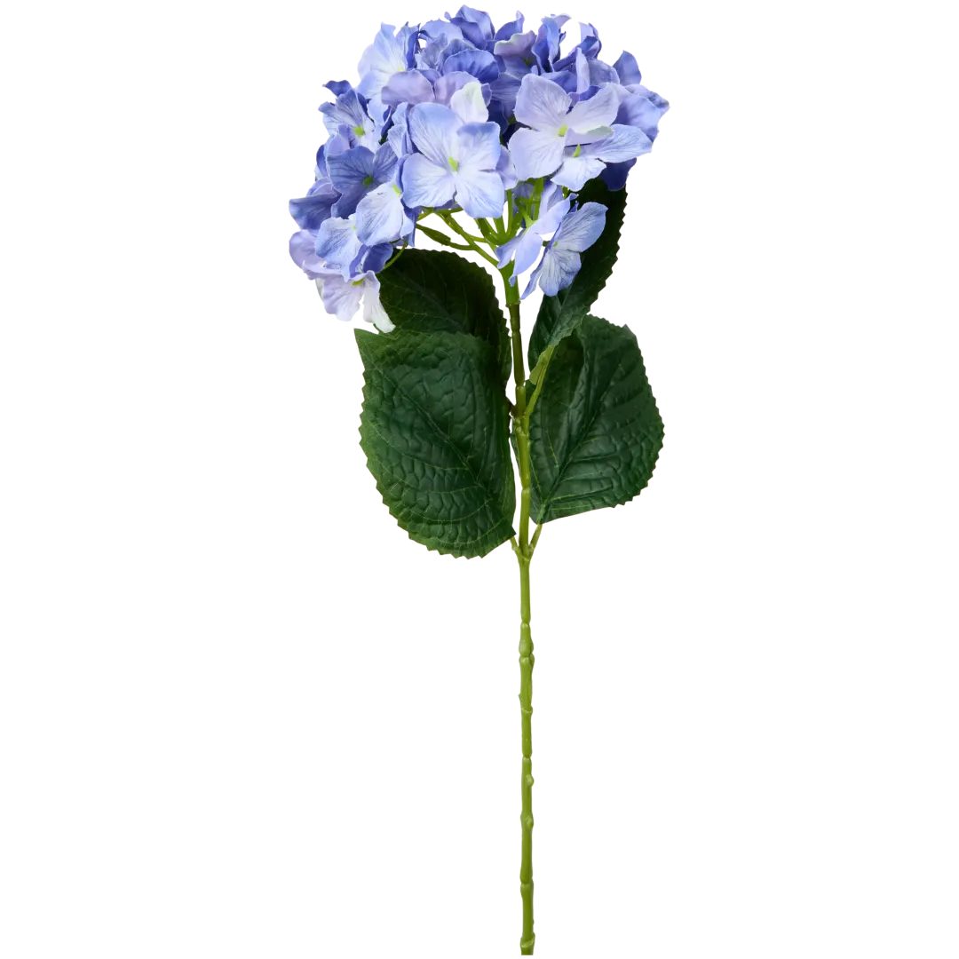 Hortensia op steel 1