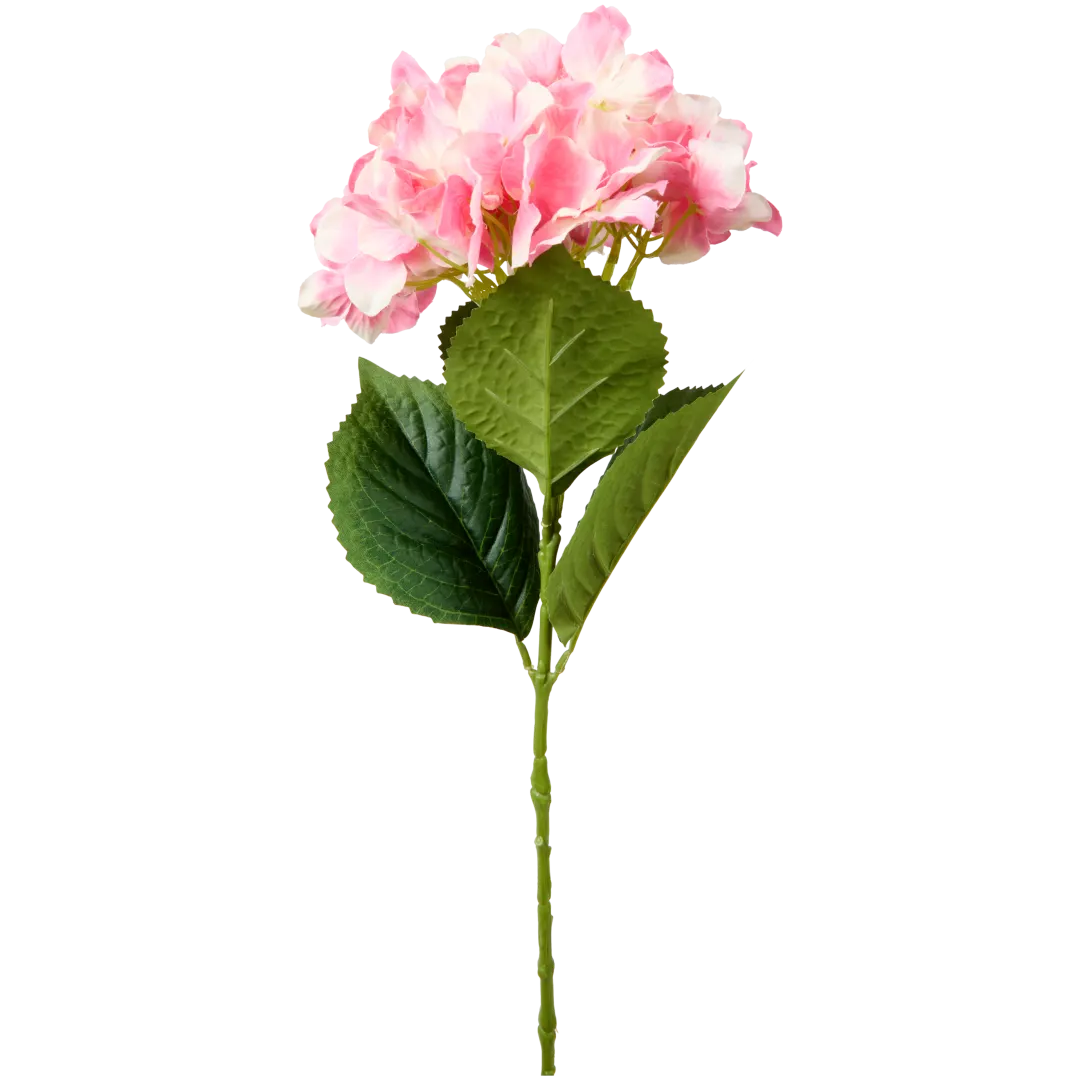 Hortensia op steel 3