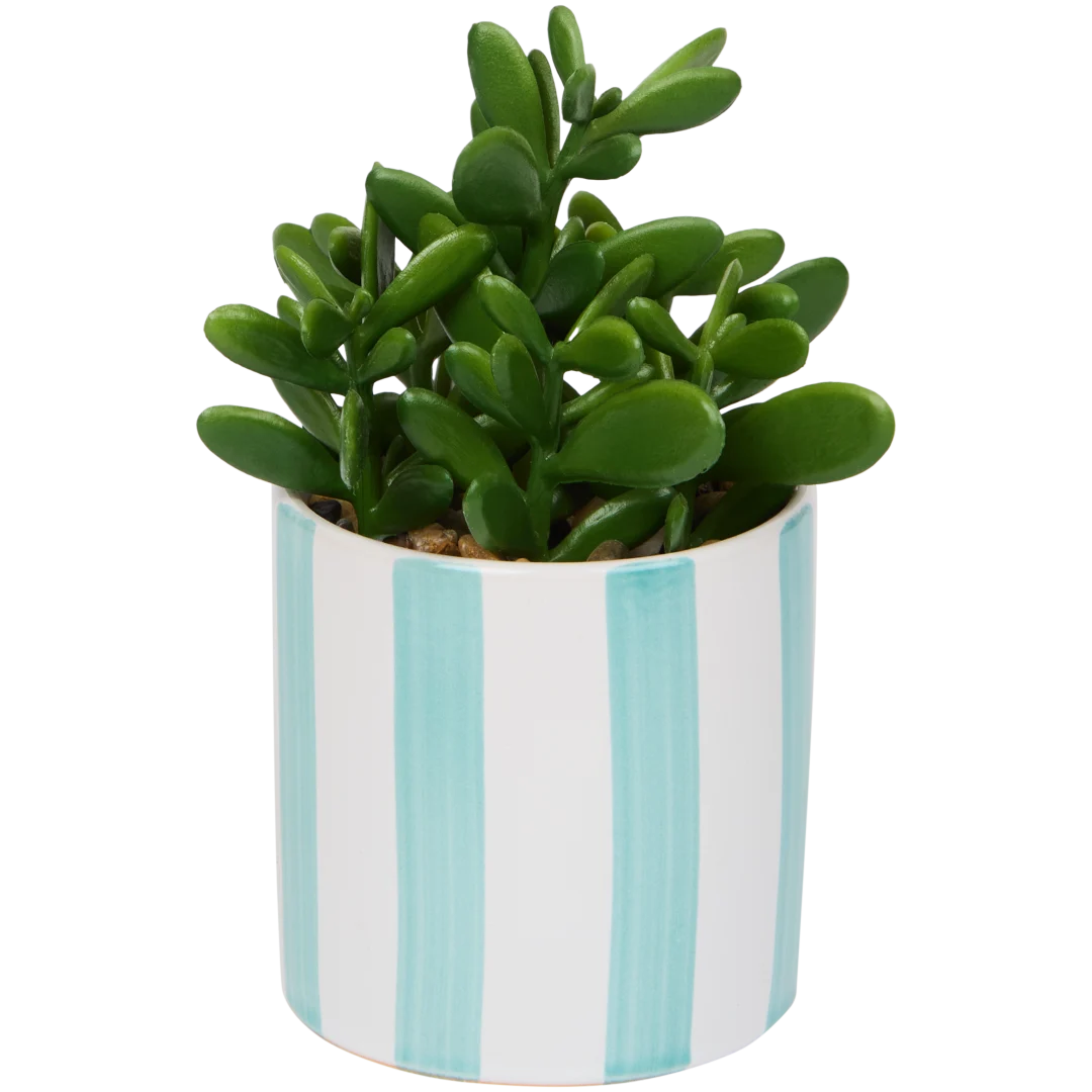 Künstliche Sukkulente 4