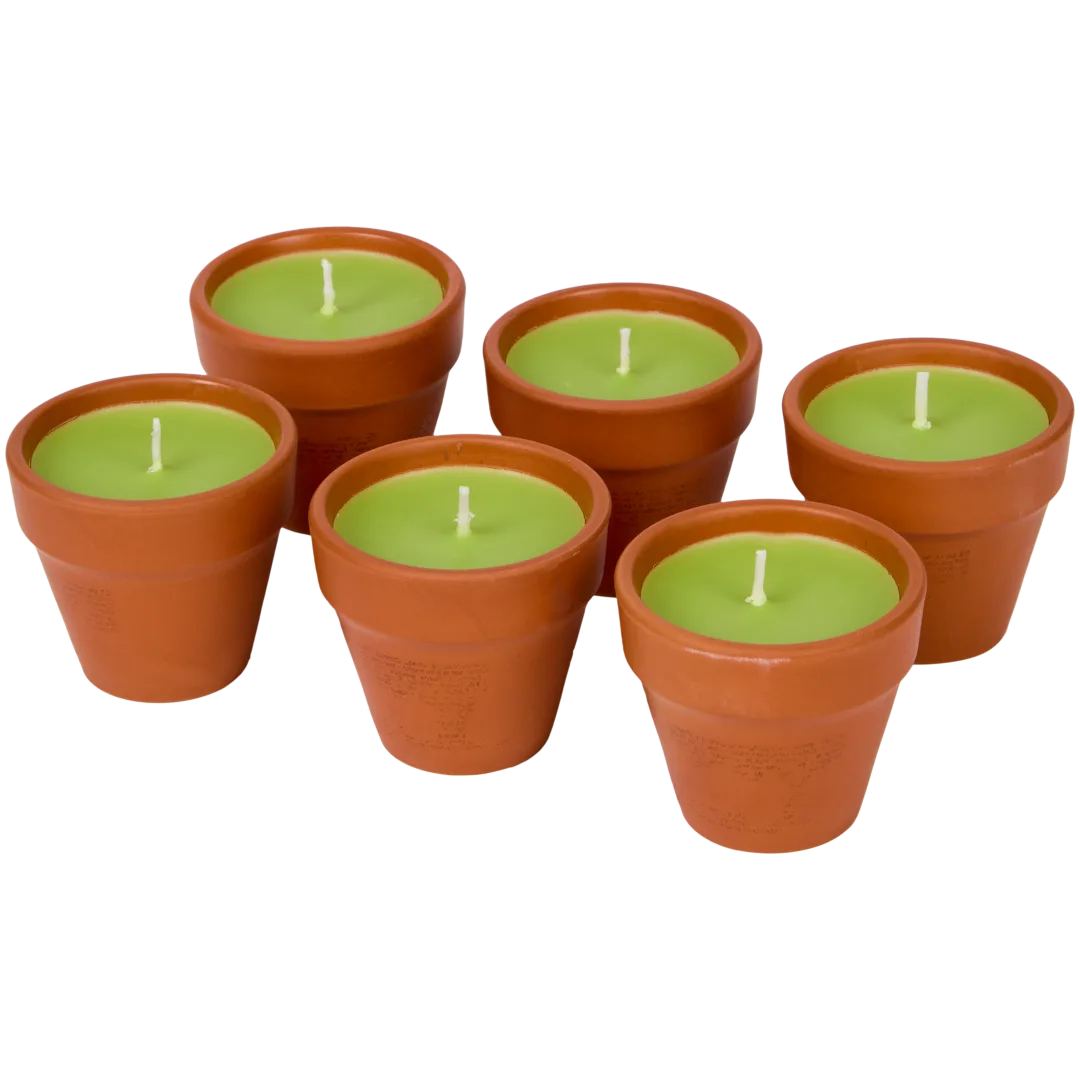 Citronella svíčky 3