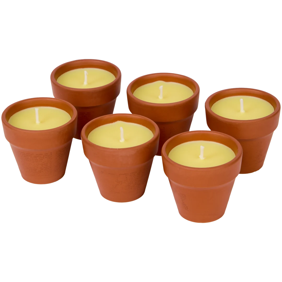 Citronella svíčky 1