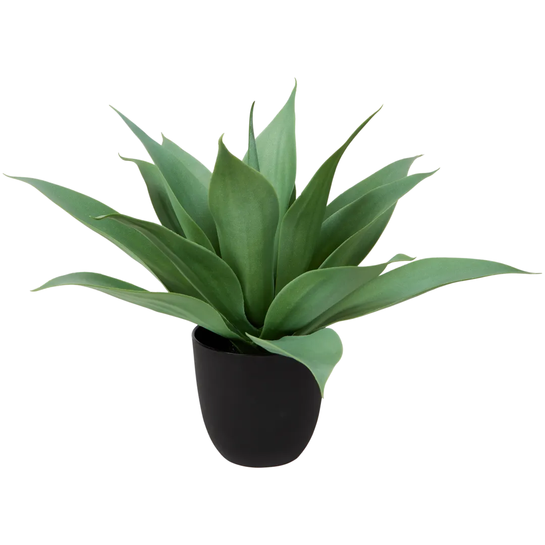 Kunst agave 1