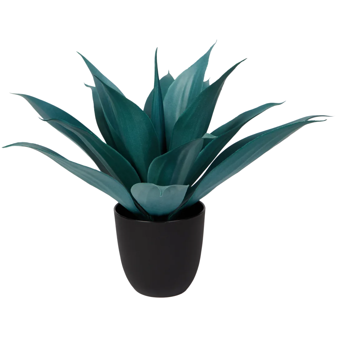 Kunst agave 2