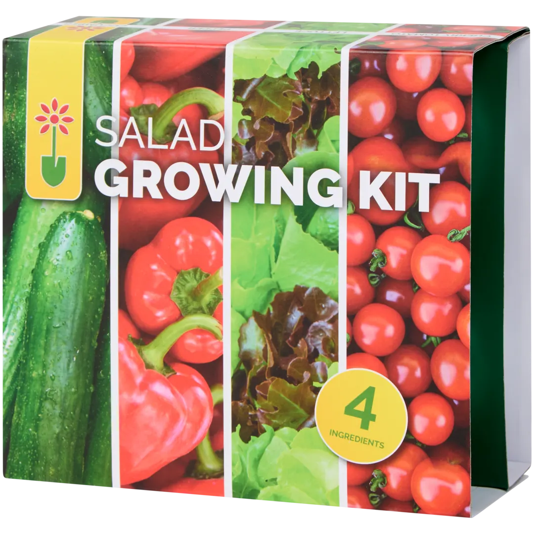 Gemüse-Anzuchtset 3