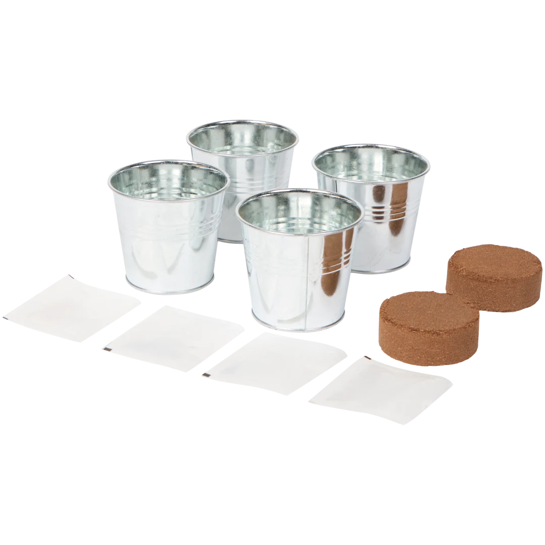 Gemüse-Anzuchtset 2