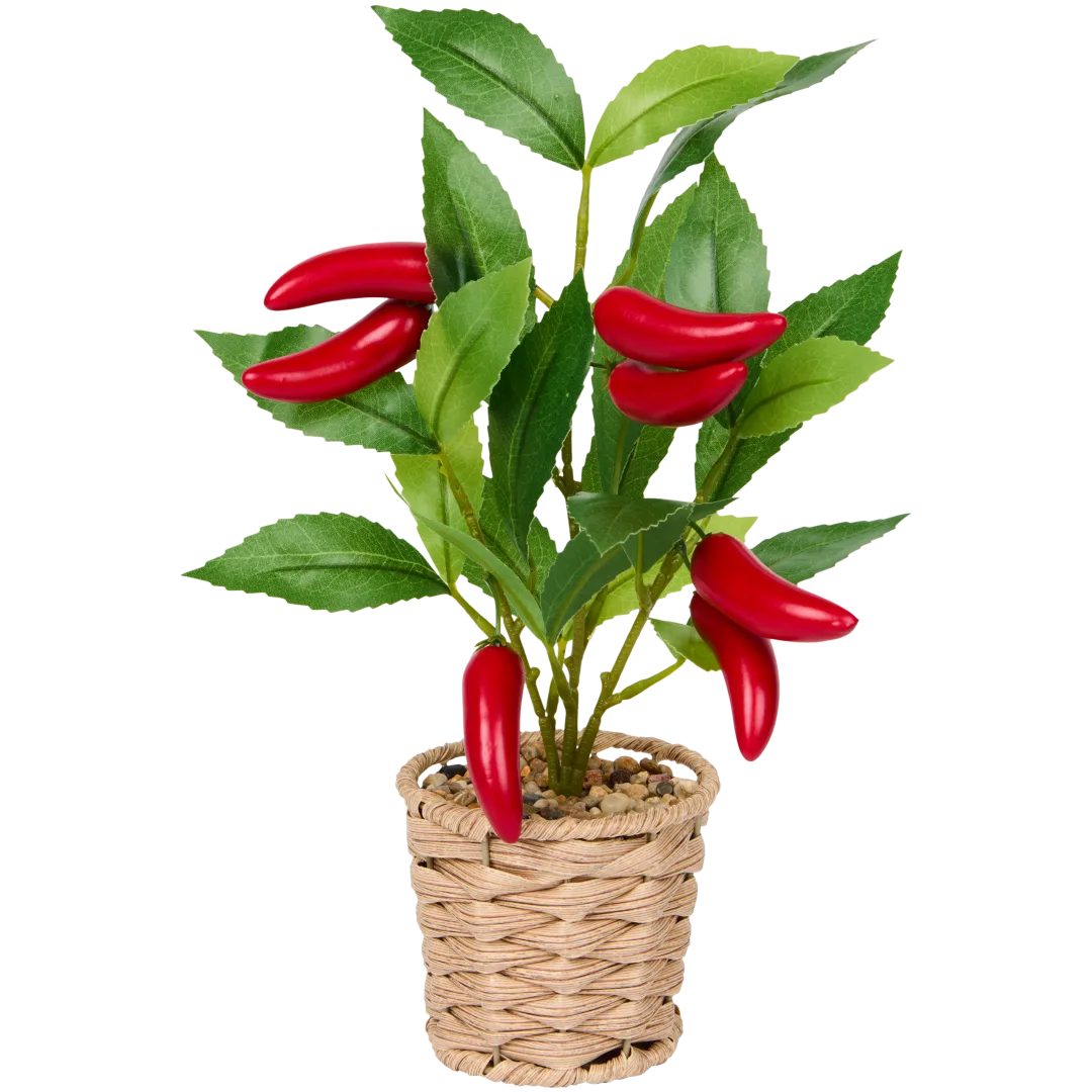 Excellent Flowers fruitboom in pot 2