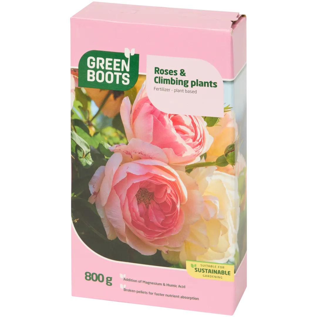 Green Boots mest Rozen & Klimplanten 1